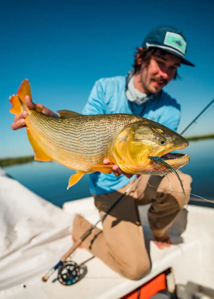 golden-dorado-river-cruiser-1