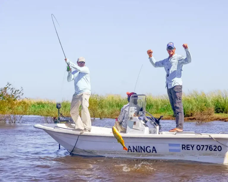 golden-dorado-river-cruiser-3