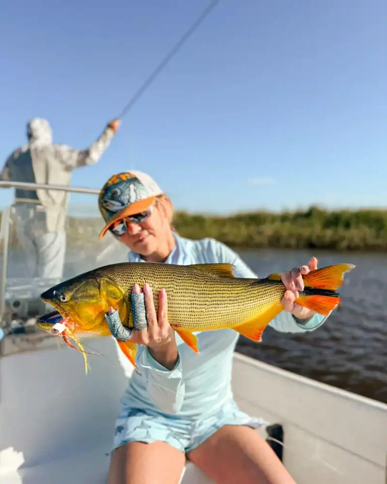 golden-dorado-river-cruiser-4