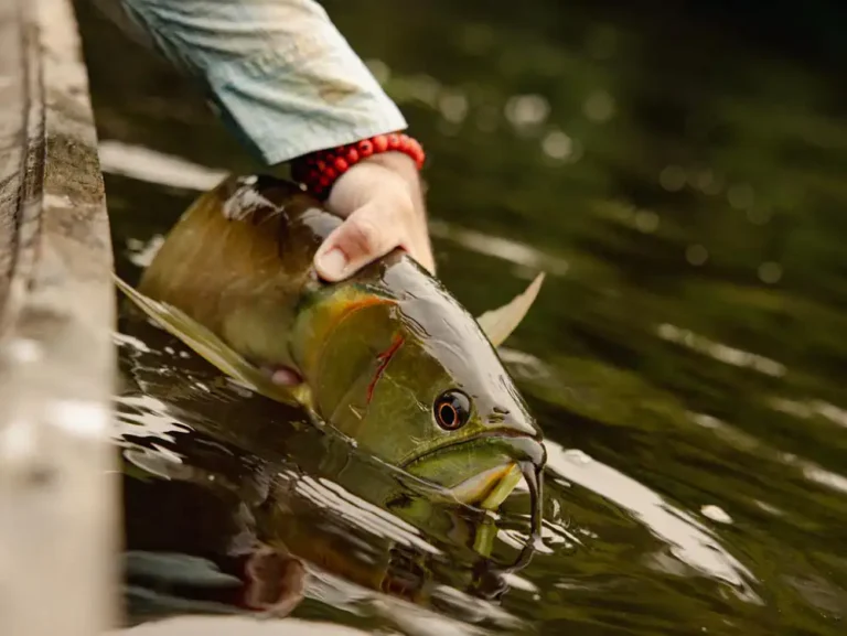 mamiraua-fishing-communities-3