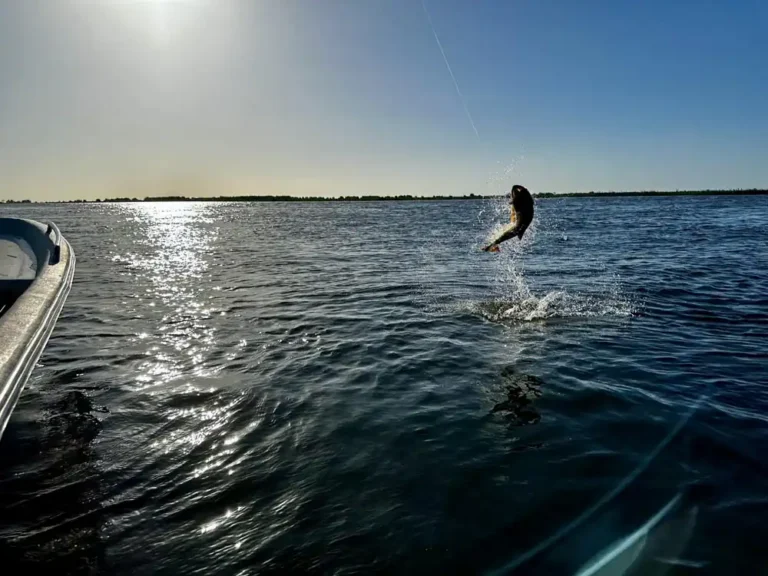 parana-river-lodge-2