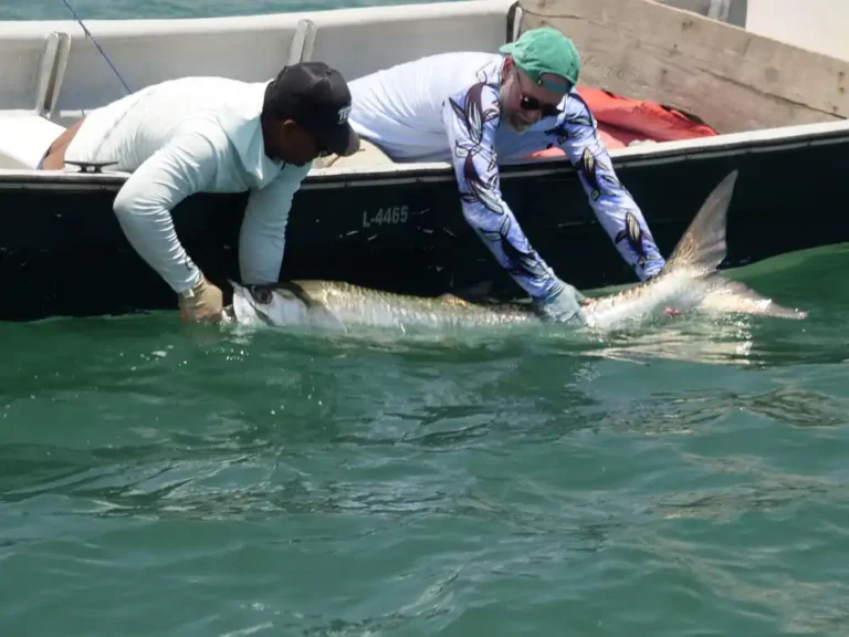 tarpon-ville-2
