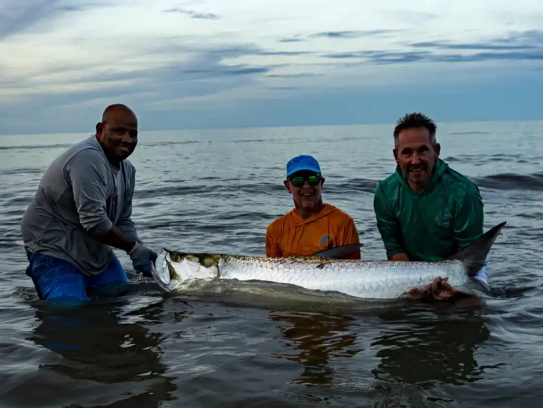 tarpon-ville-4